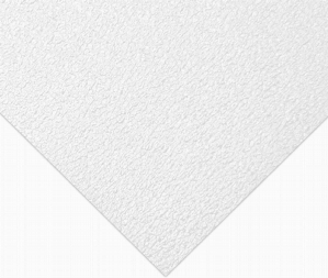 BOLTARON<sup>&reg;</sup> THERMOFORMING HAIR CELL WHITE SHEET