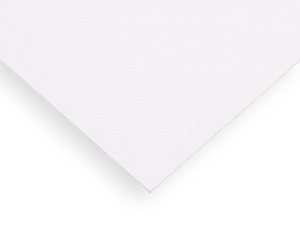 PALCLAD PRO PVC WALL CLADDING SYSTEM PANEL | WHITE